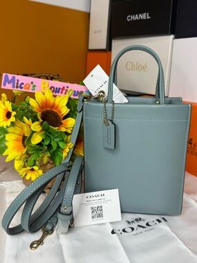 🆕COACH Glove Tanned Leather Mini Cashin Carry Tote green Sage C4828 Bag Purse